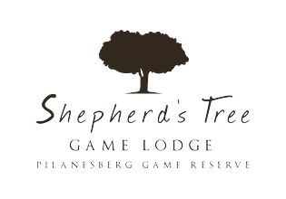 Shepherds Tree Game Lodge